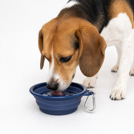 Reisenapf Zusammenfaltbarer für Tiere, 500 ml, mit Karabinerhaken
