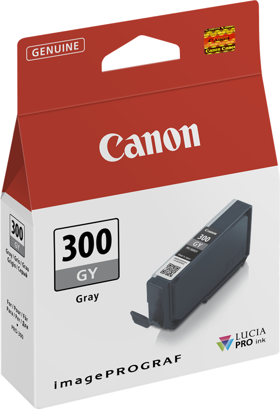 Canon PFI-300gy Grau Druckerpatrone 4200C001
