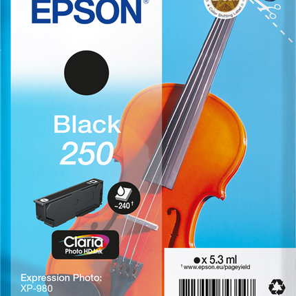 Epson 250 Schwarz Druckerpatrone C13T16N14010