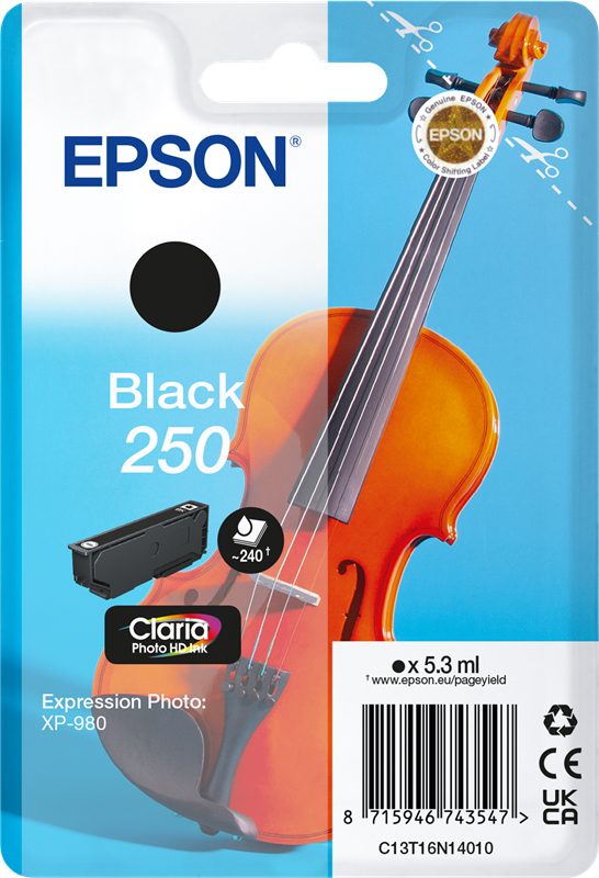 Epson 250 Schwarz Druckerpatrone C13T16N14010
