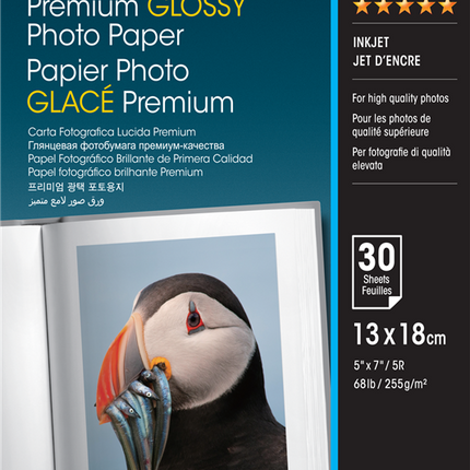 Epson Premium Glossy Fotopapier 13x18cm Weiss