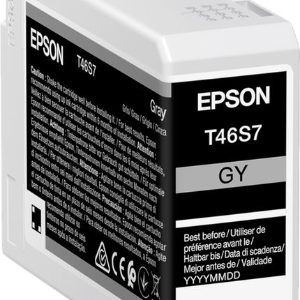 Epson T46S7 Grau Druckerpatrone C13T46S700