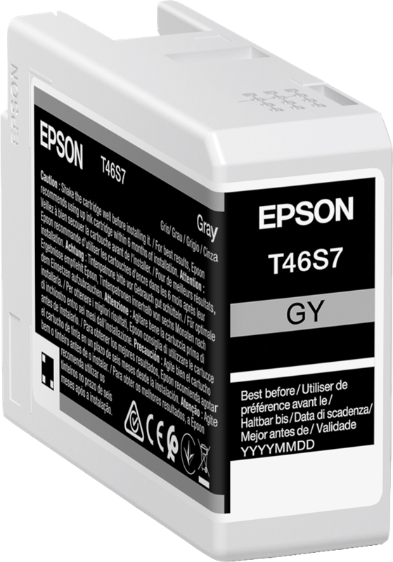 Epson T46S7 Grau Druckerpatrone C13T46S700