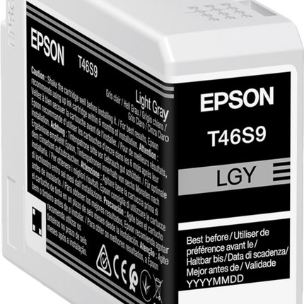 Epson T46S9 Grau (hell) Druckerpatrone C13T46S900