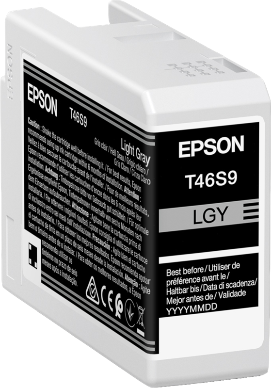 Epson T46S9 Grau (hell) Druckerpatrone C13T46S900