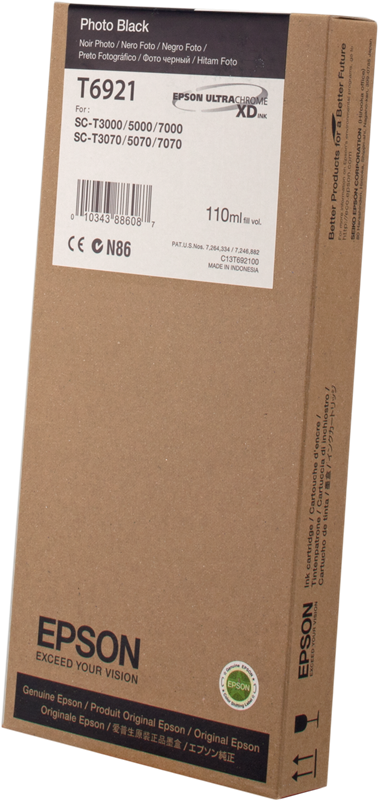 Epson T6921 Schwarz (Foto) Druckerpatrone
