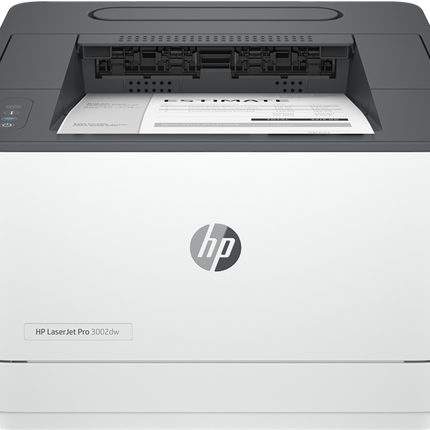 HP LaserJet Pro 3002dw Laserdrucker Grau / Weiss