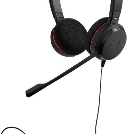 Jabra Evolve 20 MS Stereo USB-C/A Headset Schwarz