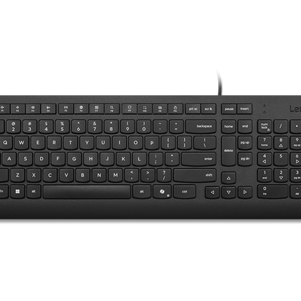 Lenovo Essential USB-Tastatur Schwarz